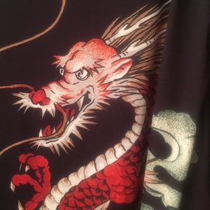 Colorful and vividly expressive Dragon Tunic